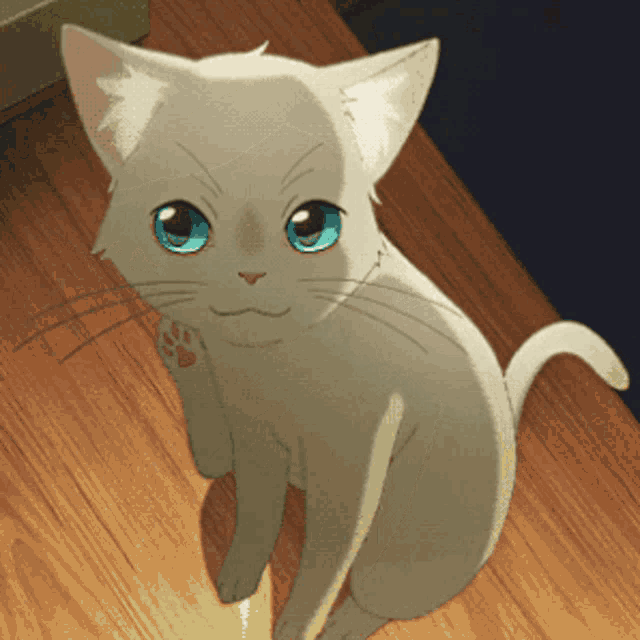 preciosa gato