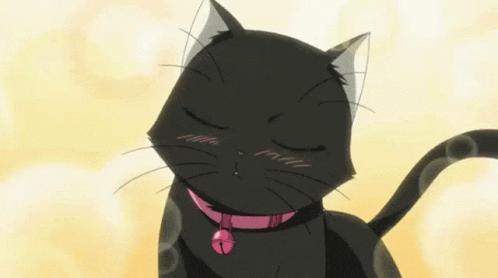 sirius gato